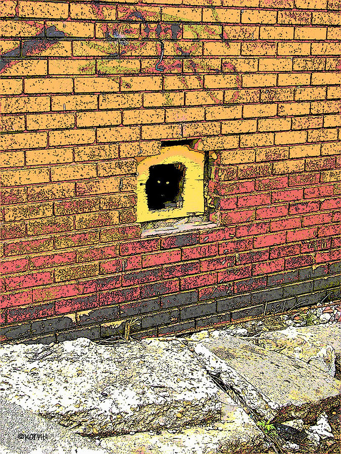 Cat in a Hole in a Wall Photograph by Rebecca Korpita