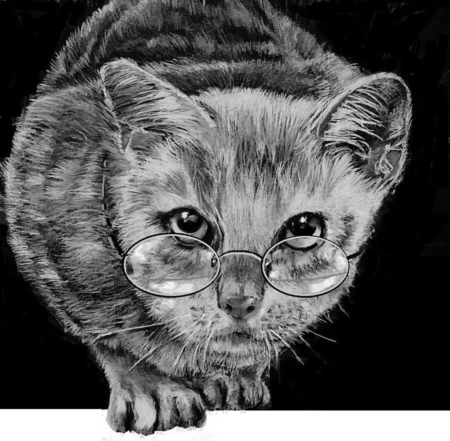 Cat In Glasses  Drawing by Jean Cormier