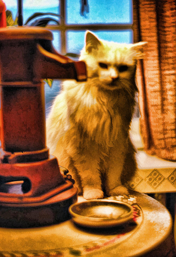 Cat in Still Life Photograph by Cathy Anderson