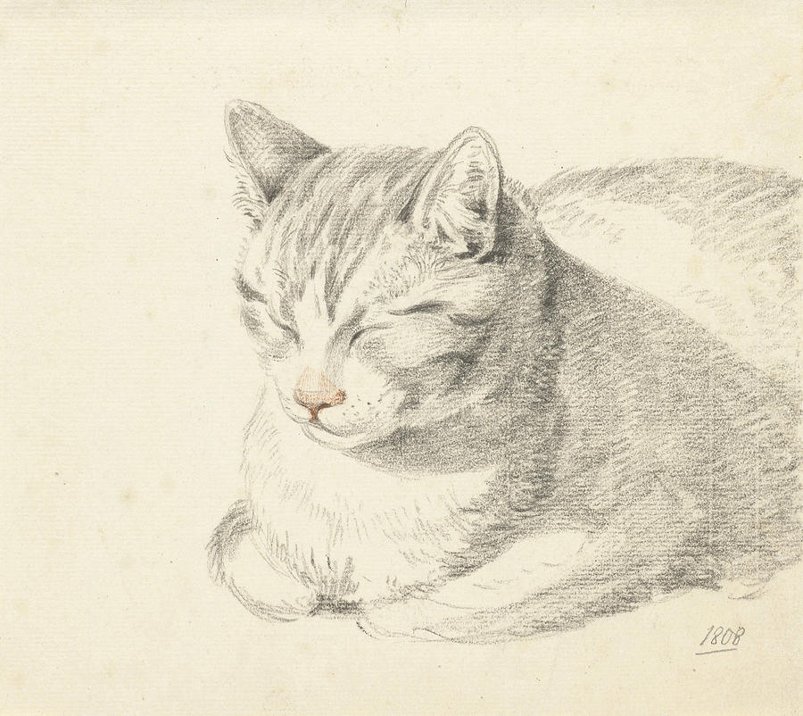 Cat, Jean Bernard Drawing by Quint Lox - Fine Art America