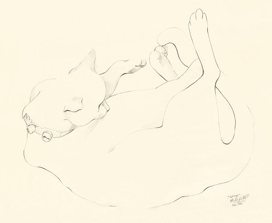 Cat Nap Drawing by Melinda Dare Benfield