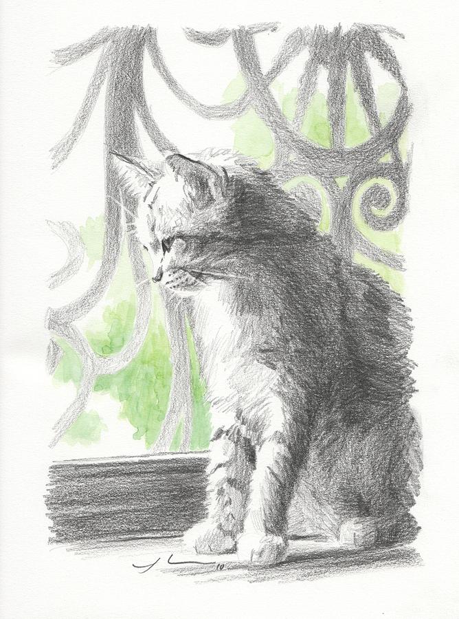 Cat Near Screen Door Watercolor Portrait Drawing by Mike Theuer