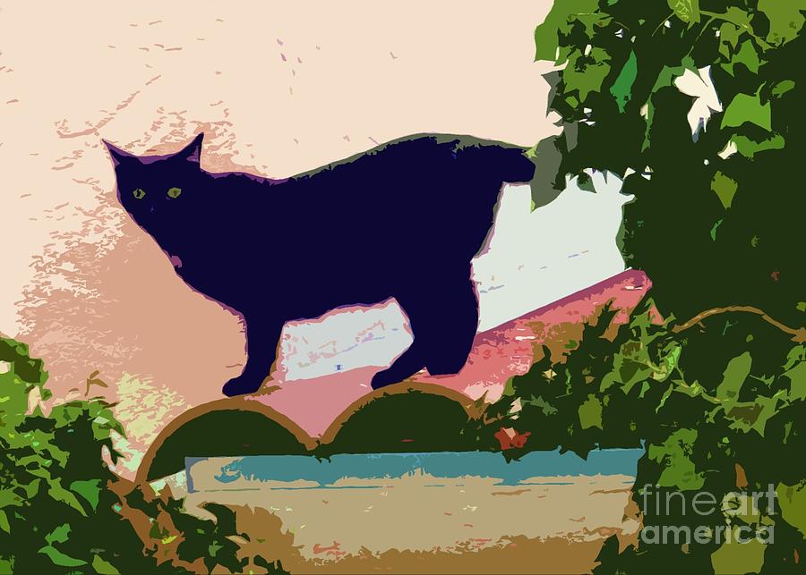Cat Photograph - Cat on a Hot Tile Roof by Barbie Corbett-Newmin