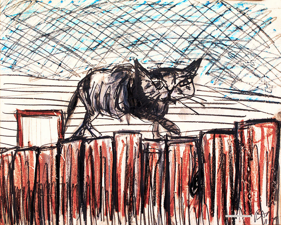 Cat on Fence Drawing by Brian Gilna
