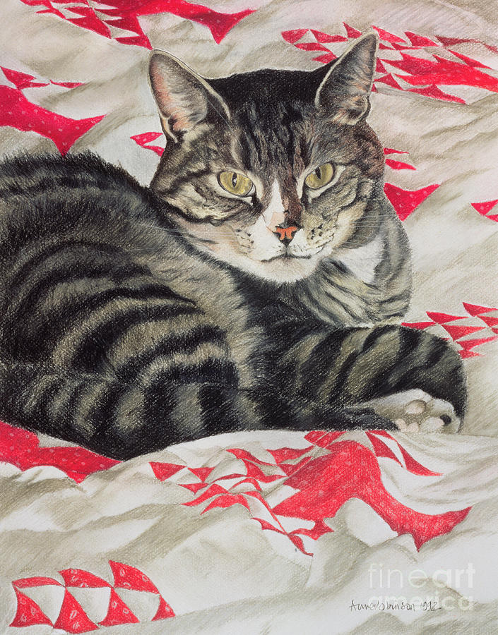 Cat Painting - Cat on quilt  by Anne Robinson