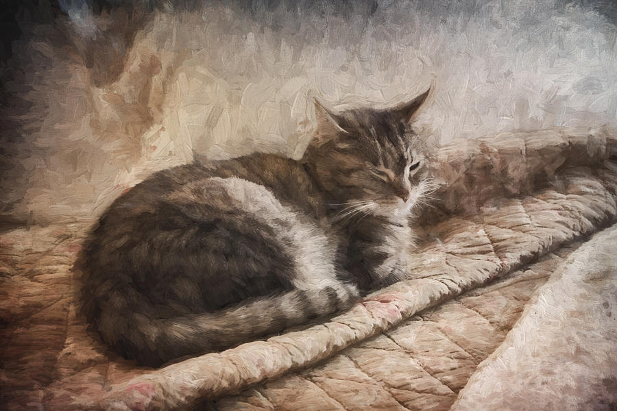 Cat on the Bed Painterly Digital Art by Carol Leigh
