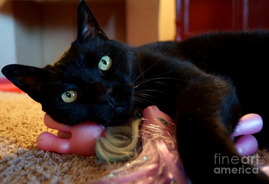 Cat Pony Love by Kerri Mortenson Cat Pony Love by Kerri Mortenson