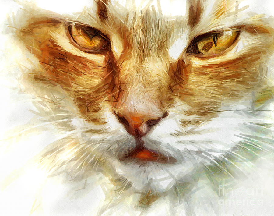 Cat Portrait - Drawing Drawing by Daliana Pacuraru