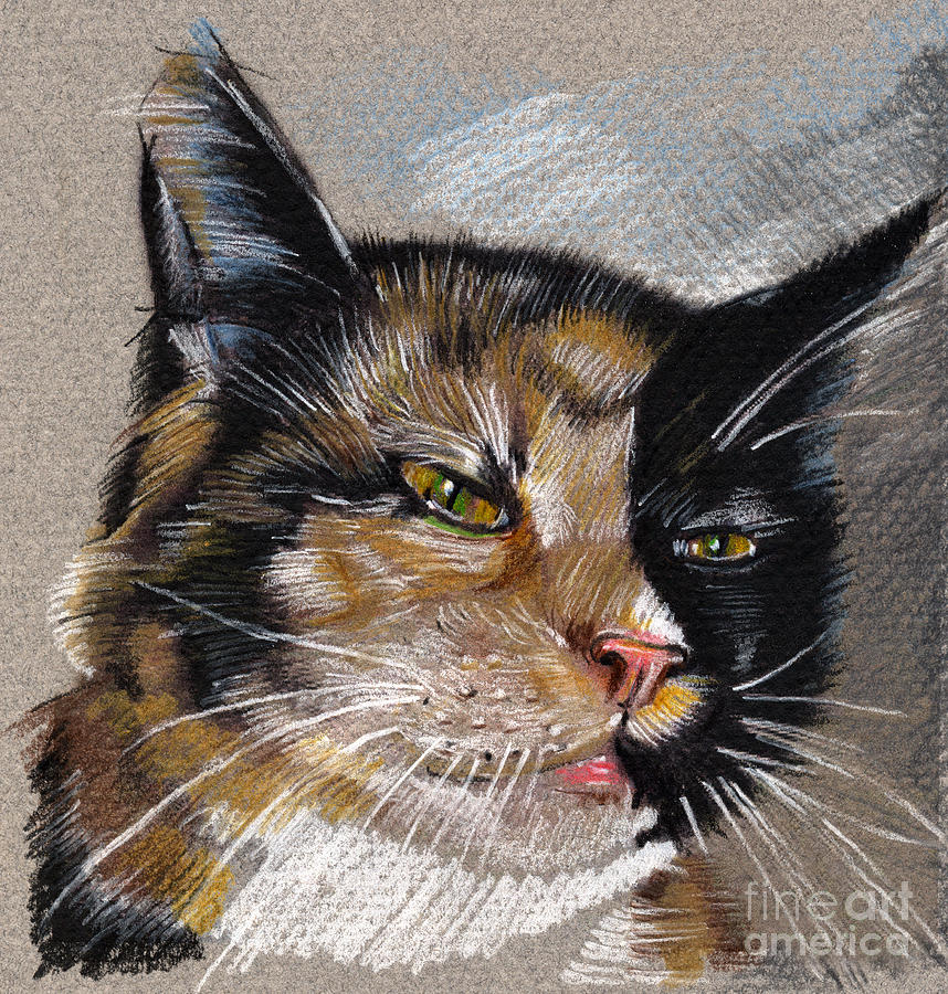 Cat Portrait Green Eyes Drawing by Daliana Pacuraru