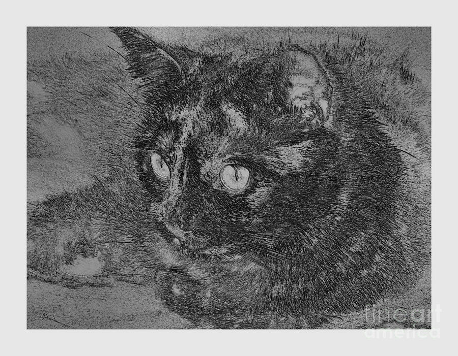 Cat portrait. SPECIAL  Mixed Media by Oksana Semenchenko