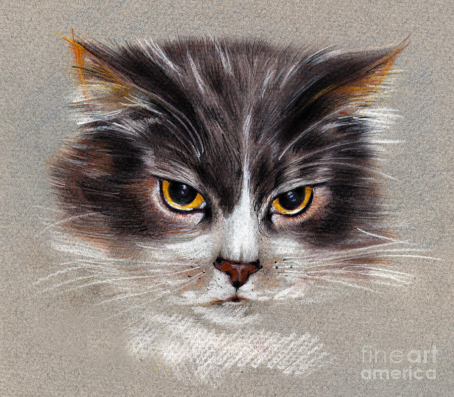 Cat Portrait Yellow Eyes Drawing by Daliana Pacuraru
