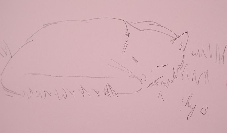 Cat Sleeping pencil drawing Drawing by Mike Jory