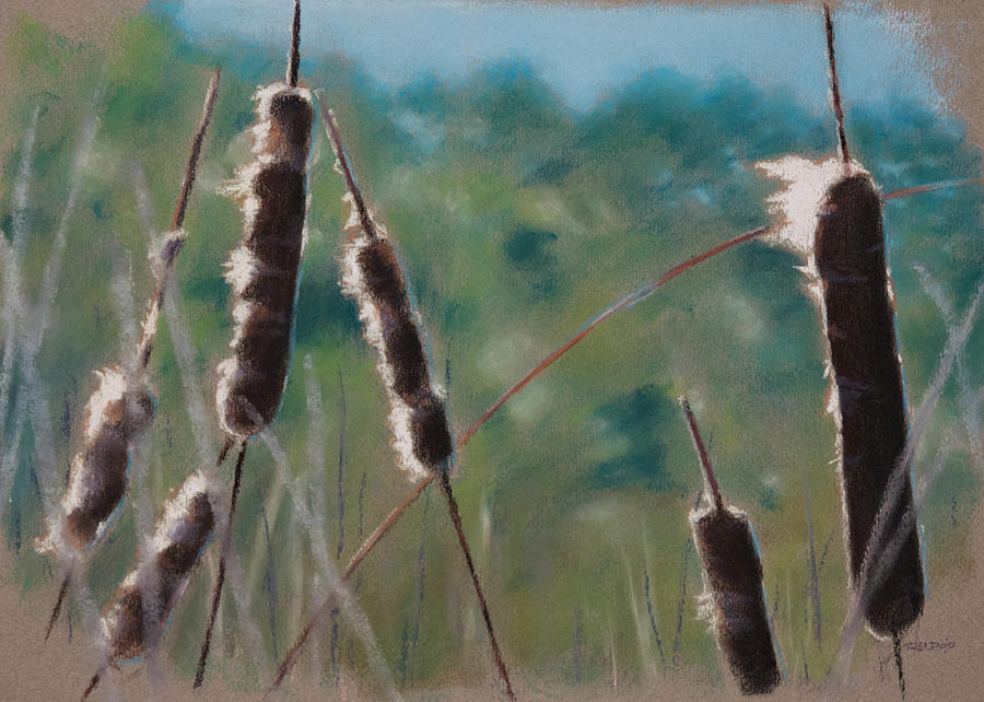 Cat Tails Painting by Christopher Reid