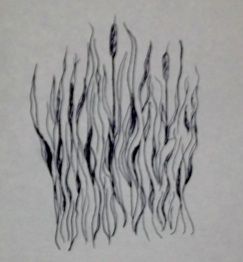 Cat Tails Drawing by Erika Jean Chamberlin