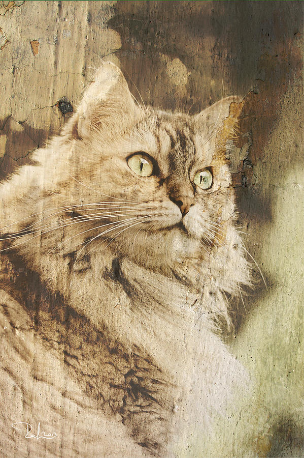 Cat Photograph - Cat texture portrait by Raffaella Lunelli