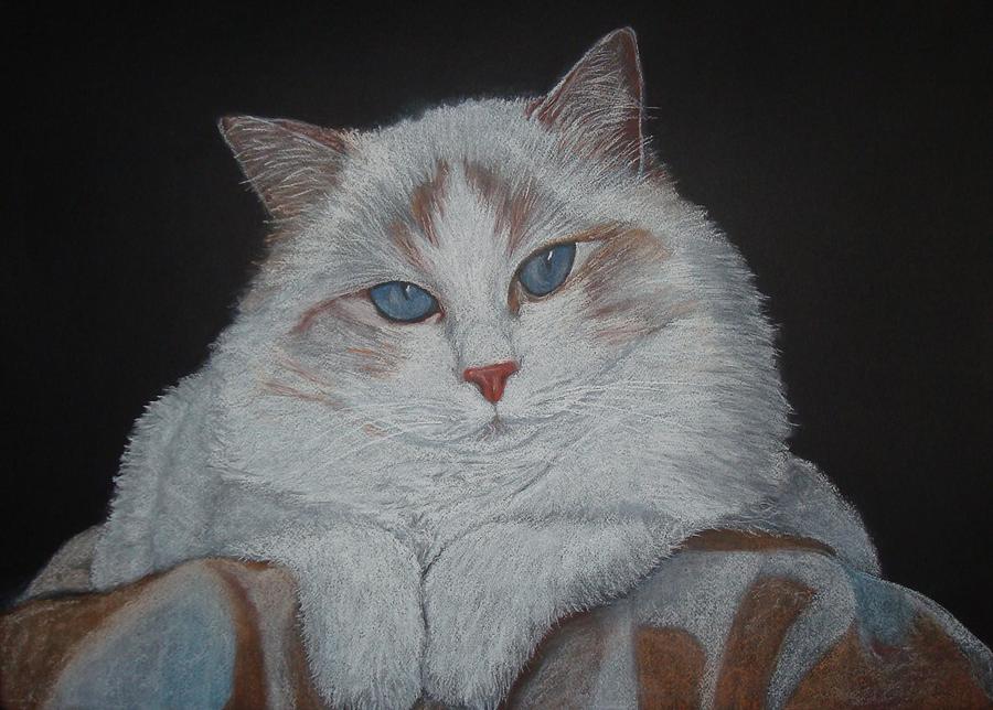 Ragdoll Cat with blanket Pastel by Cybele Chaves