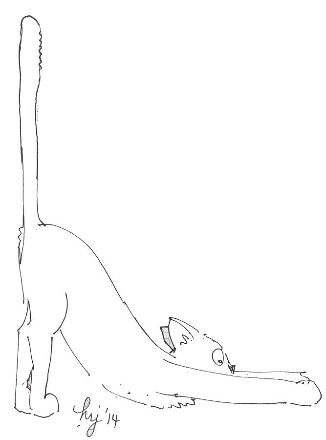 Cat Yoga Drawing by Mike Jory