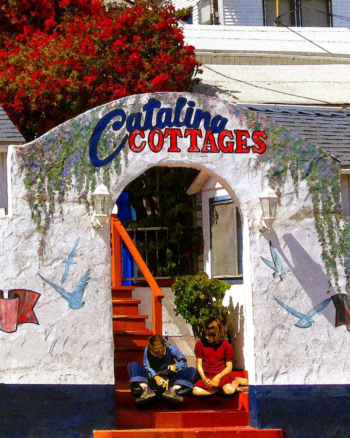 Catalina Cottages Photograph by Timothy Bulone