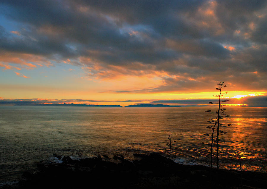 Catalina Island Sunset Photograph by Joe Schofield