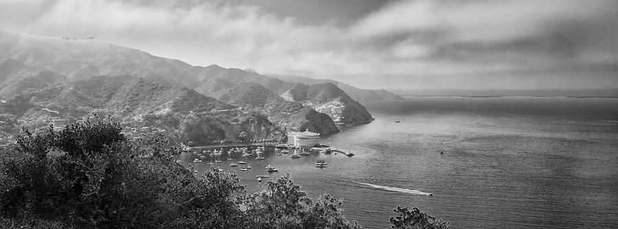 Catalina Island View Photograph by Joseph Hollingsworth