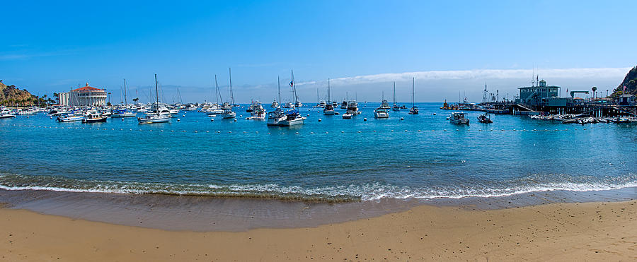 Catalina Panorama Photograph by Camille Lopez