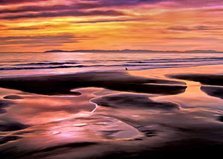 Catalina Sunset Painting by Michael Pickett