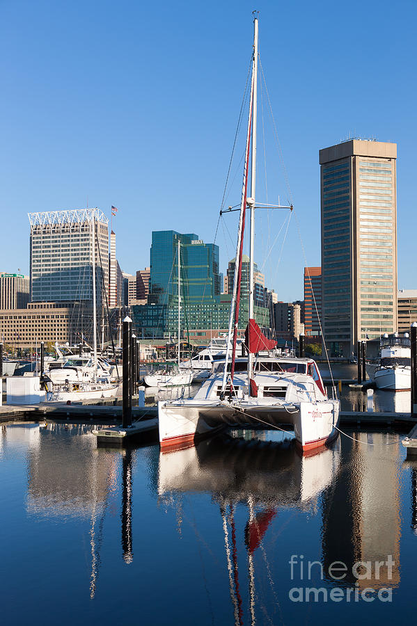 Baltimore Photograph - Catamaran in Baltimore Inner Harbor I by Clarence Holmes
