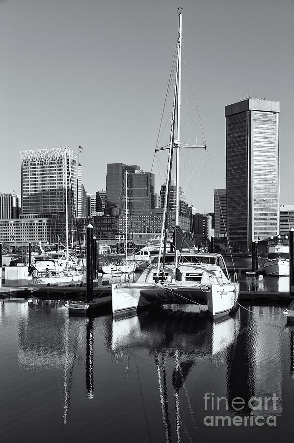 Catamaran in Baltimore Inner Harbor II Photograph by Clarence Holmes