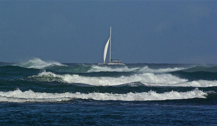 Catamaran Photograph by Richard Majeau - Fine Art America