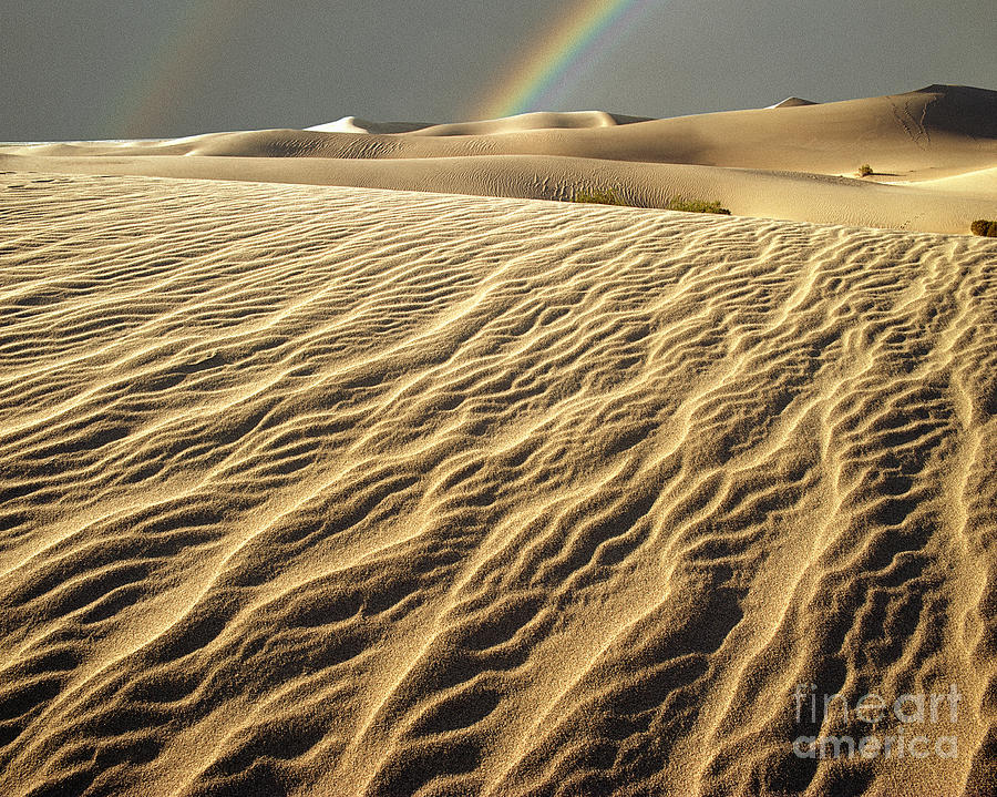 Catch A Rainbow Photograph by Edmund Nagele FRPS