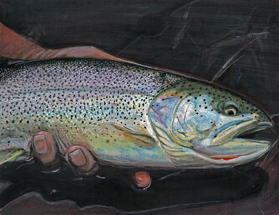 Trout Painting - Catch and Release by Dalton Art  Studios