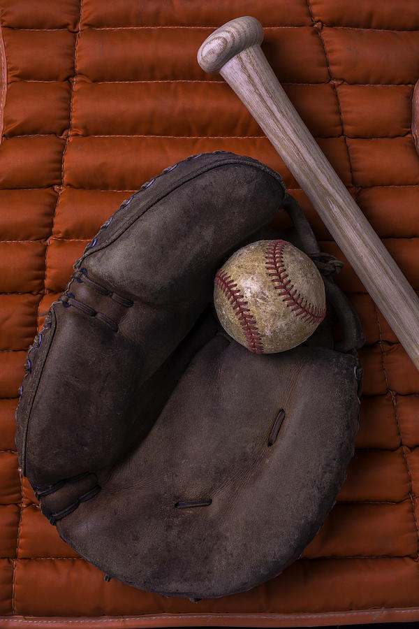Baseball Photograph - Catchers Mitt and Baseball by Garry Gay