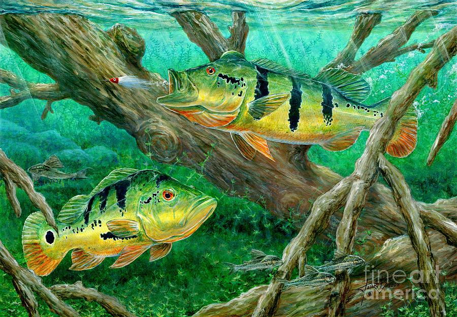 Catching Peacock Bass - Pavon Painting by Terry Fox