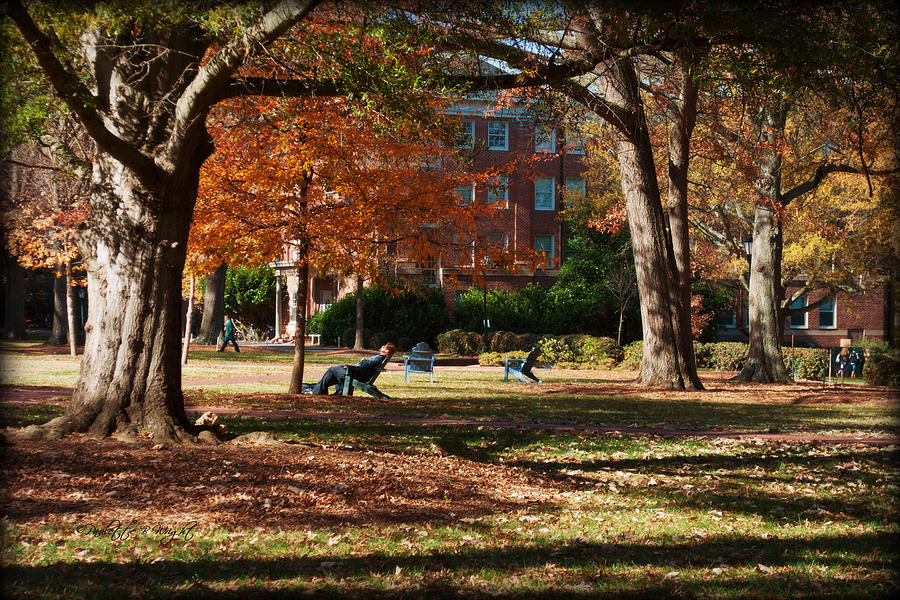Catching Rays - Davidson College Photograph by Paulette B Wright