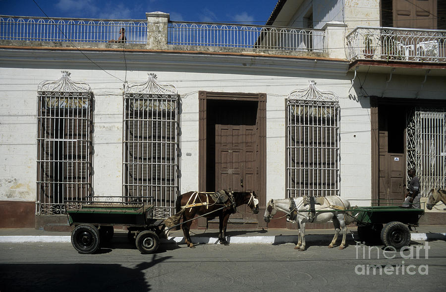 Horses Catching Up in Cuba Photograph by James Brunker