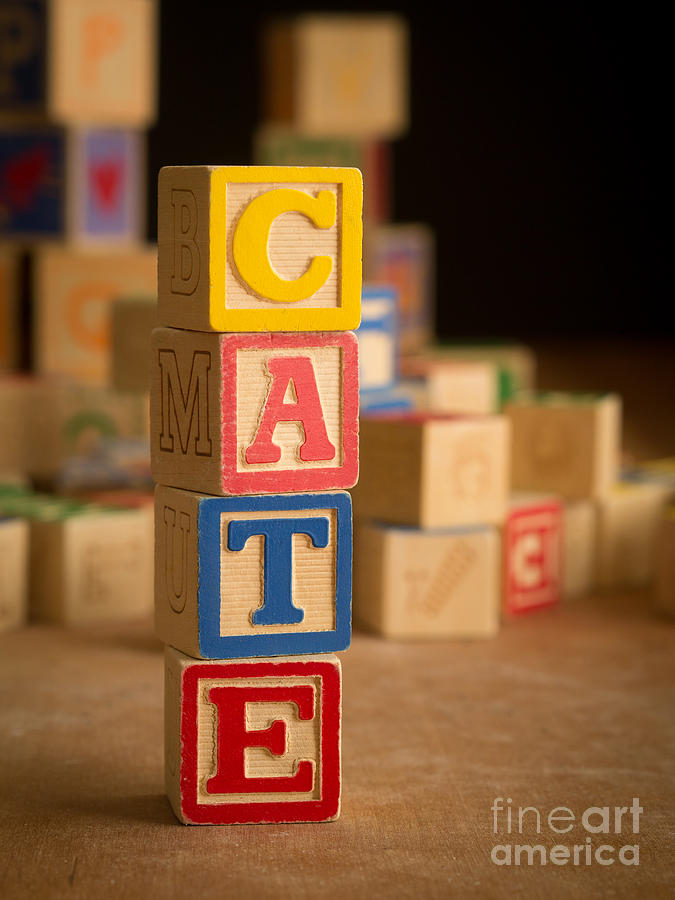 CATE - Alphabet Blocks Photograph by Edward Fielding