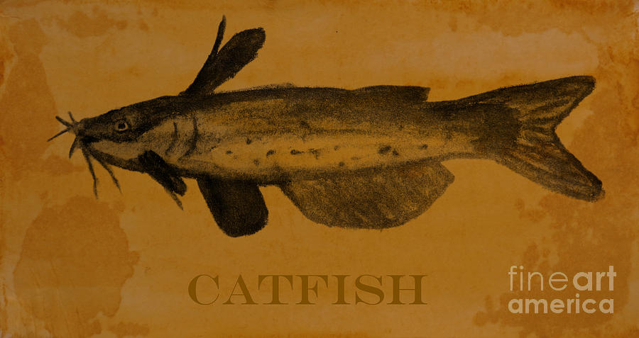 Catfish Plaque Drawing by R Kyllo