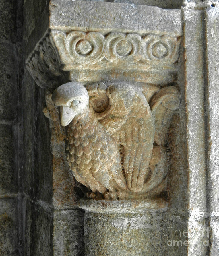 Cathedral Bird Gargoyle Photograph by Val Miller