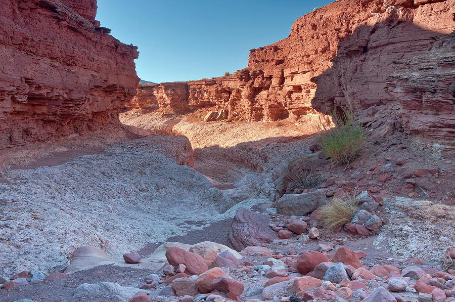 Scenic Photograph - Cathedral Canyon Near Lees Ferry by Witold Skrypczak Scenic Photograph - Cathedral Canyon Near Lees Ferry by Witold Skrypczak