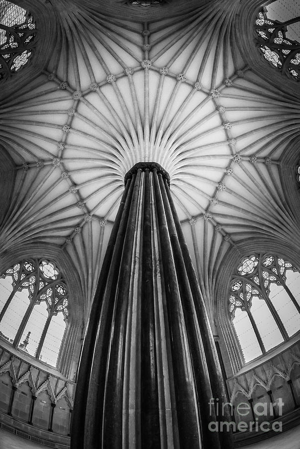Cathedral Ceiling Photograph by Ken Andersen Fine Art America