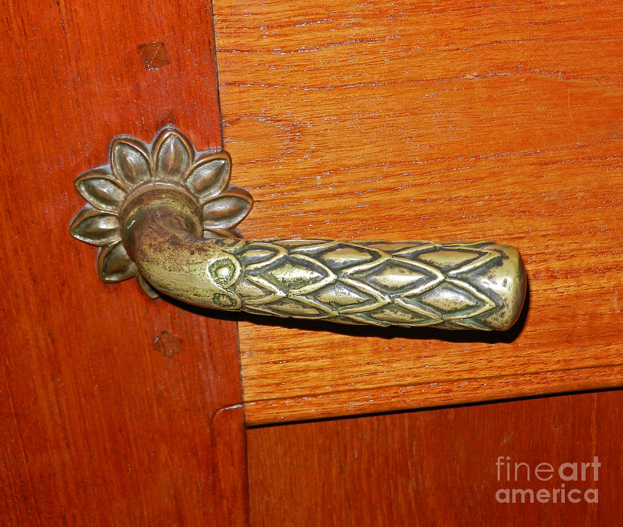 Cathedral Door Handle Photograph by Val Miller