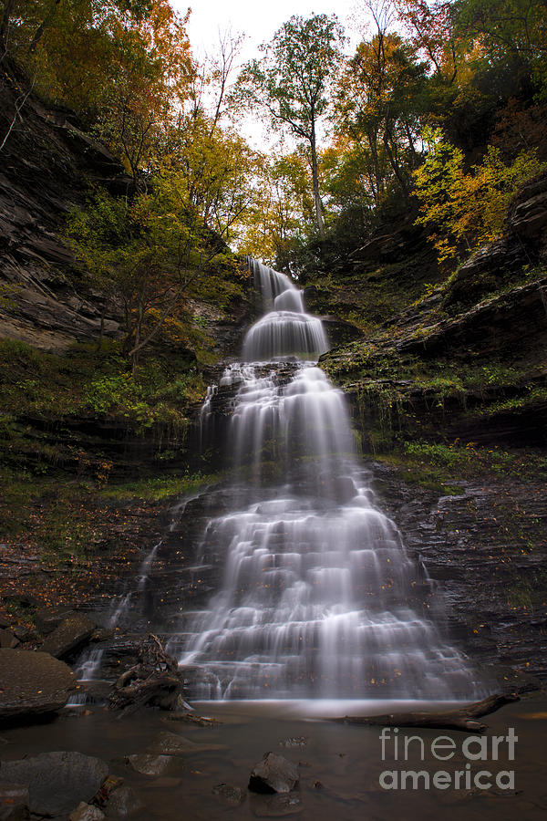 Cathedral Falls in the Fall Photograph by Dan Friend