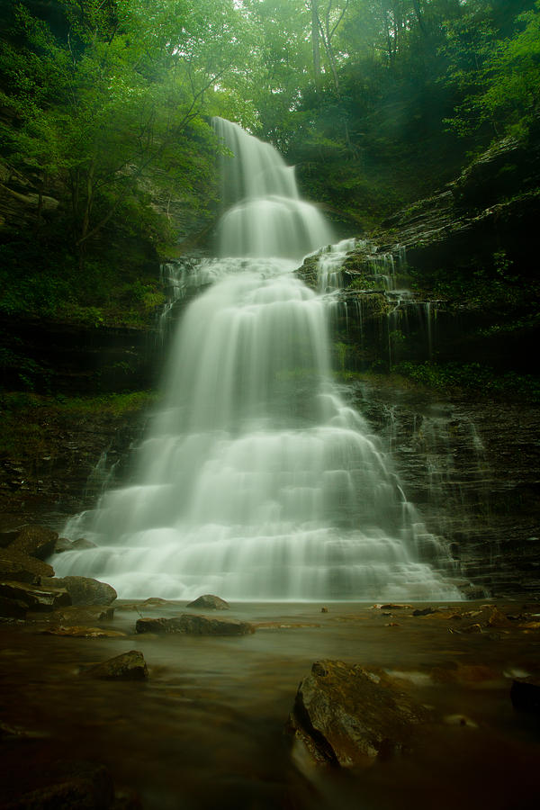 Tree Photograph - Cathedral Falls by Shane Holsclaw