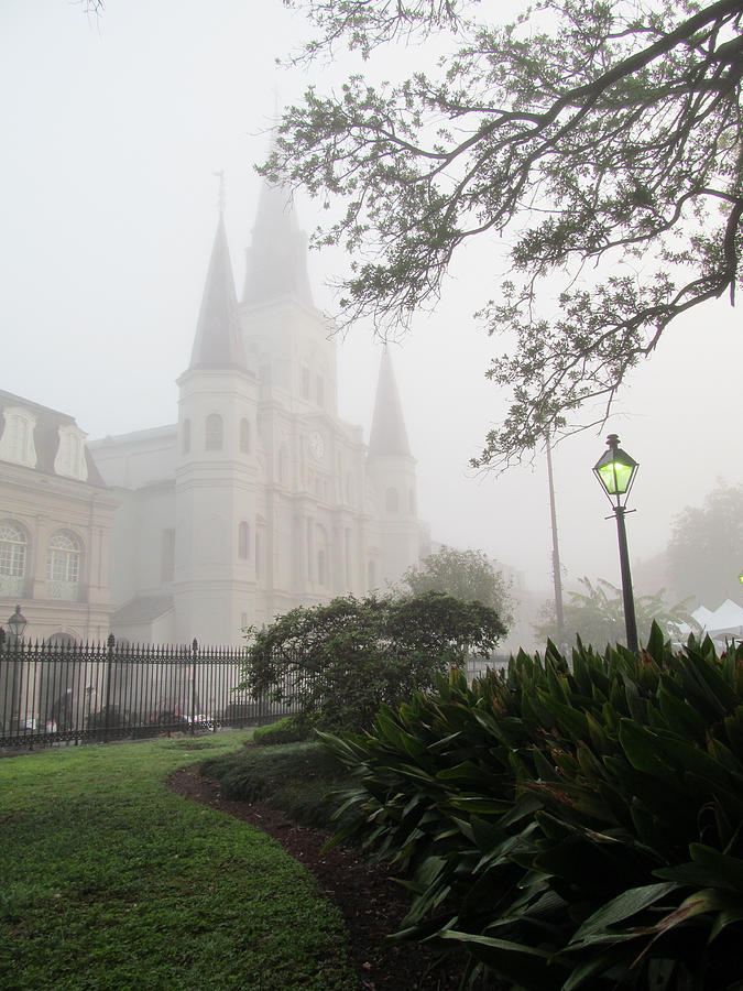Cathedral Fog Photograph by Tom Hefko