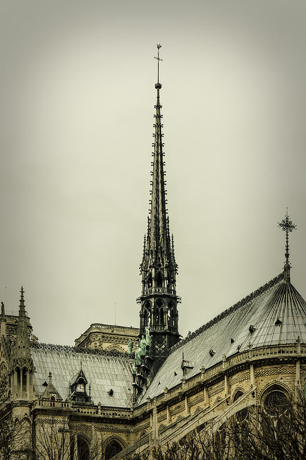 Cathedral of Notre Dame de Paris II Photograph by Marco Oliveira