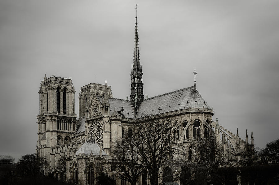 Cathedral of Notre Dame de Paris Photograph by Marco Oliveira