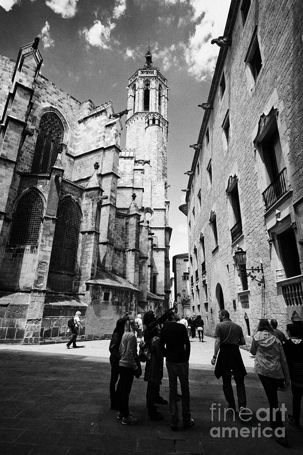 Barcelona Photograph - Cathedral Of Santa Eulalia Barcelona Catalonia Spain by Joe Fox