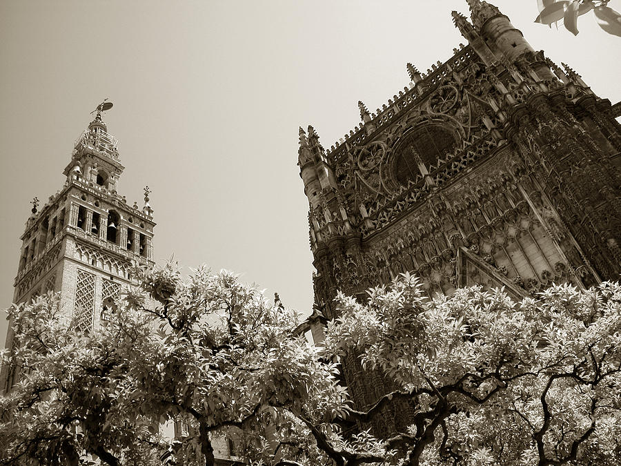 Cathedral of Seville Photograph by Michael Kirk