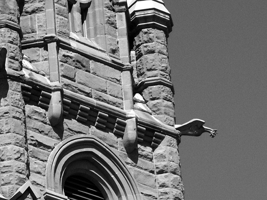 Cathedral of the Madeleine Gargoyle by Tarey Potter Cathedral of the Madeleine Gargoyle by Tarey Potter