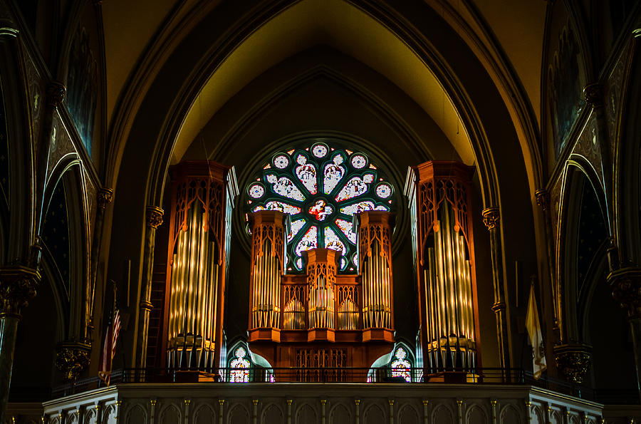 Cathedral Organ Photograph by Anthony Doudt